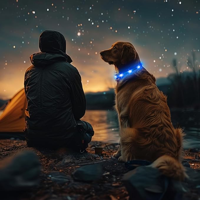 HIGO Light Up Dog Collar - 2-Pack Silicone LED Rechargeable, Safety Light, Glow in The Dark Lighted Necklace for Small Medium Large Dogs (Blue)