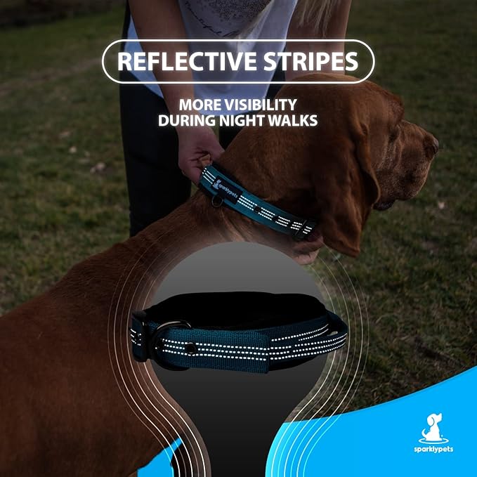 SparklyPets Heavy Duty Dog Collar with Handle for Medium and Large Dogs ??Professional Collar with Reflective Stitches, Soft Handle & Nickel-Plated Buckle (Large (18"~22"), Blue)