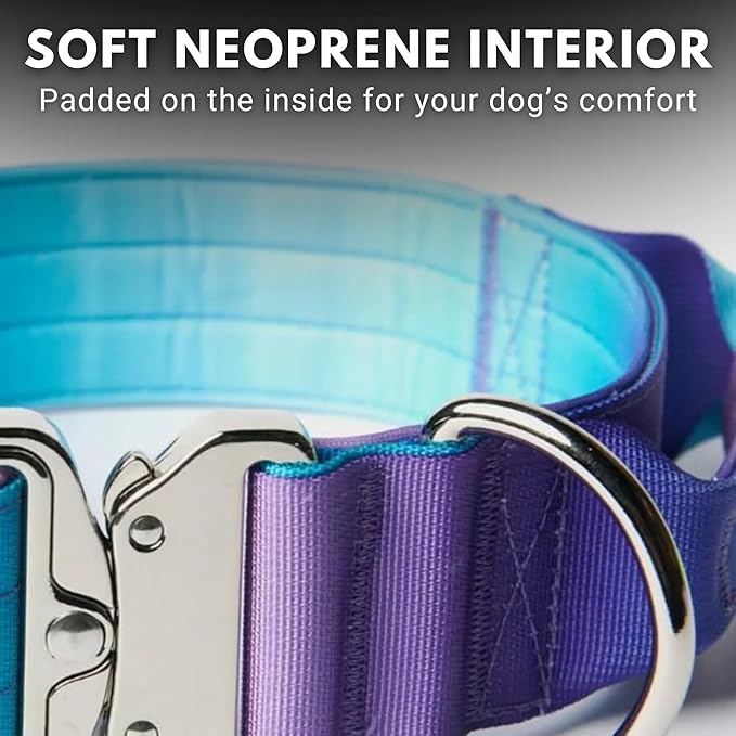Spark Paws Tactical Dog Collar - Heavy Duty, Premium Quality, Thick and Durable for Large and Medium Dogs - 90's Retro - L