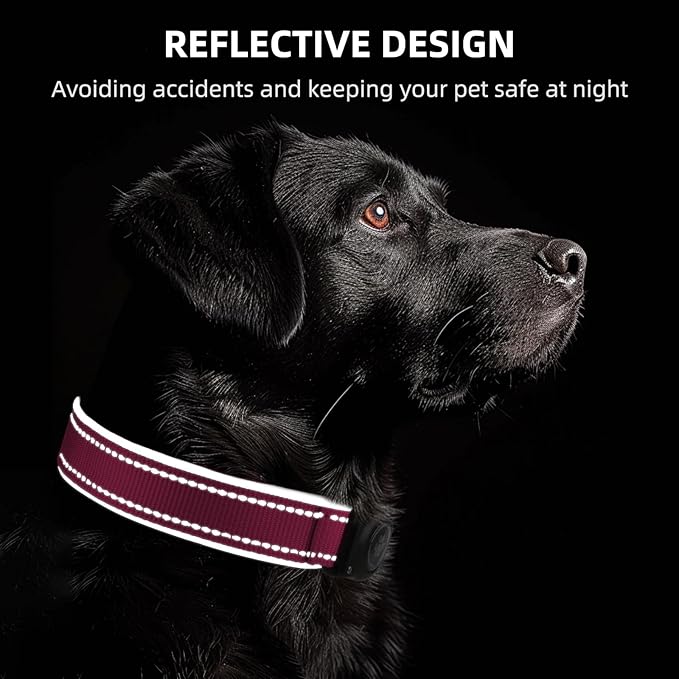 Airtag Dog Collar - 100% Waterproof AirTag Holder, Reflective, Soft Padded, Everlasting GPS Collar for Small to Large Dogs (Hot Pink, M)