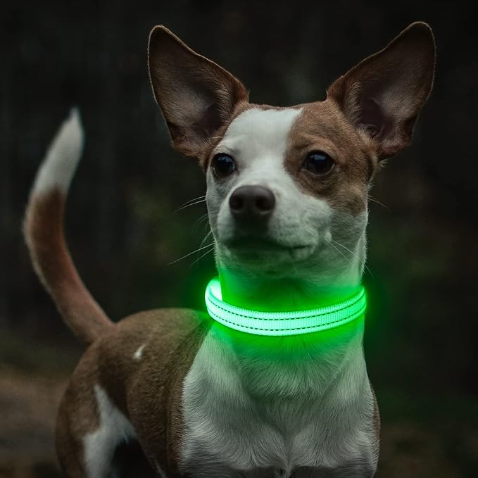 Light Up Dog Collar for Small Dogs - Rechargeable Puppy Collars Glow in The Dark LED Dog Collar Lights for Night Walking(X-Small, Green)