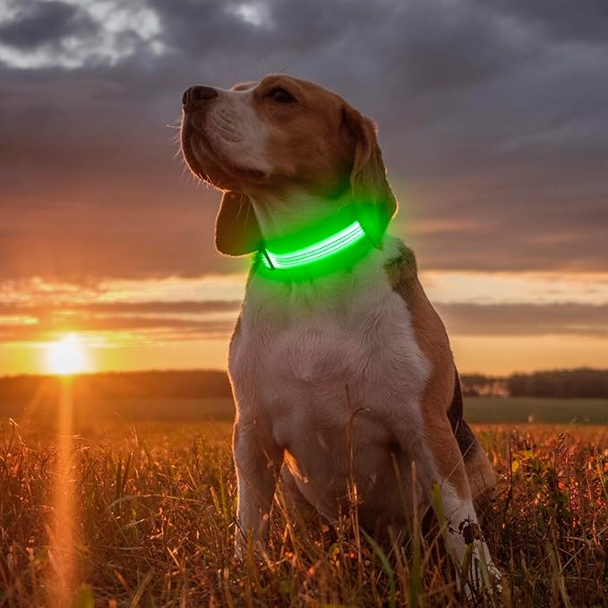 Illumifun Light Up Dog Collar - USB Rechargeable LED Dog Collar, Adjustable Lighted Pet Safety Collar for Night Walking (Green?? Small)