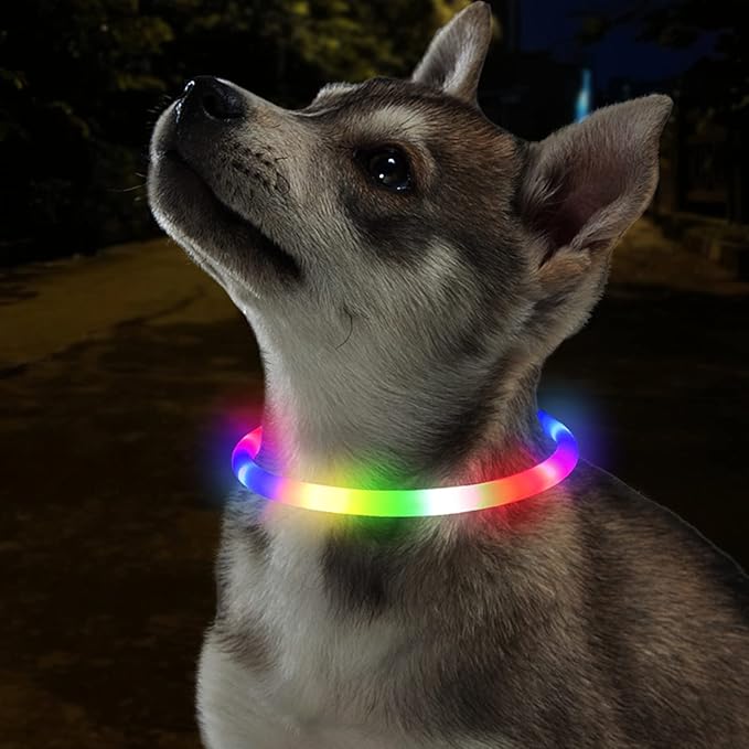 Light Up Dog Collar, Rechargeable Glowing Dog Collar, Light Dog Collar for Night Walking with 1640 FT of Visibility - Brightest LED Dog Collar Light, 3 Flashing Modes, Keeps Your Pets Safe in The Dark