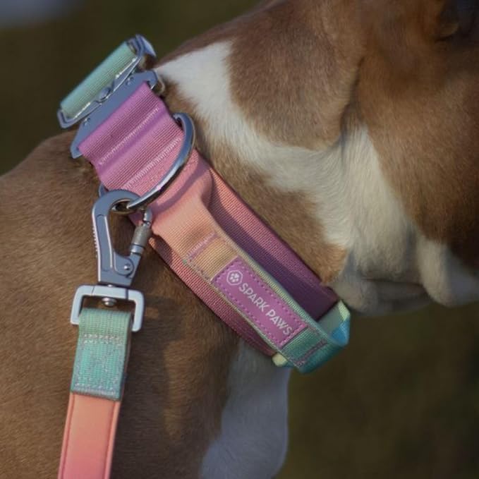 Tactical Dog Collar with Handle - Premium Quality Collar, Robust and Durable Design for Large, Strong Breeds - Pitbulls, Labradors, GSD - Pastel Icing - L