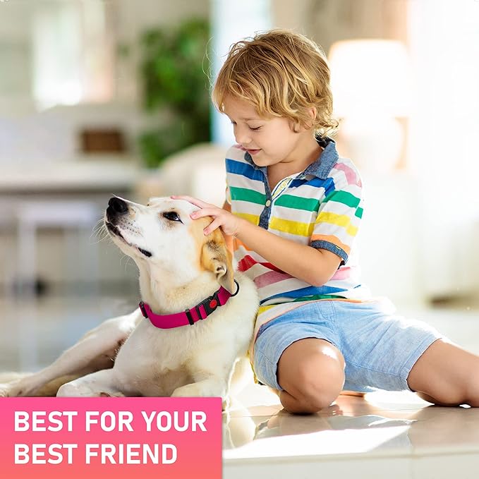 Adjustable Dog Collar with Safety Lock Buckle - Made in USA - Honeycomb Waterproof Heavy Duty Dog Collars for Medium Large Dogs - Odor Proof Pet Collar for Dogs with Strong Zinc D Ring (3/4", Pink)