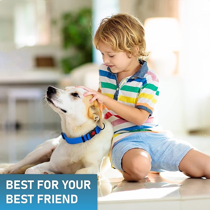 Adjustable Dog Collar with QR Code Dog Tag ID Attached - Made in USA - Honeycomb Waterproof Heavy Duty Dog Collar with Safe Lock Buckle - Odor Proof Pet Collar for Dogs with Strong Zinc D Ring