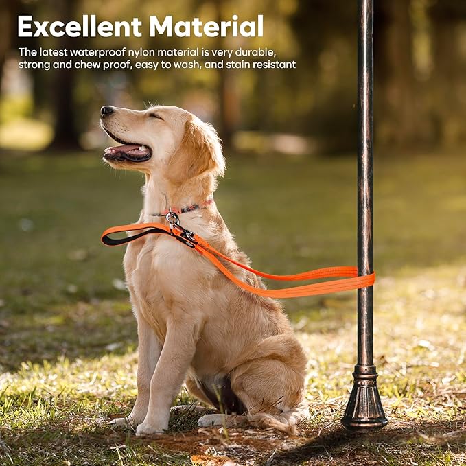 LED Dog Leash, 4 Ft Light Up, USB Rechargeable, Waterproof, Nylon Reflective with Padded Handle, Safety Glow in The Dark for Large, Medium, Small Pets (Orange)