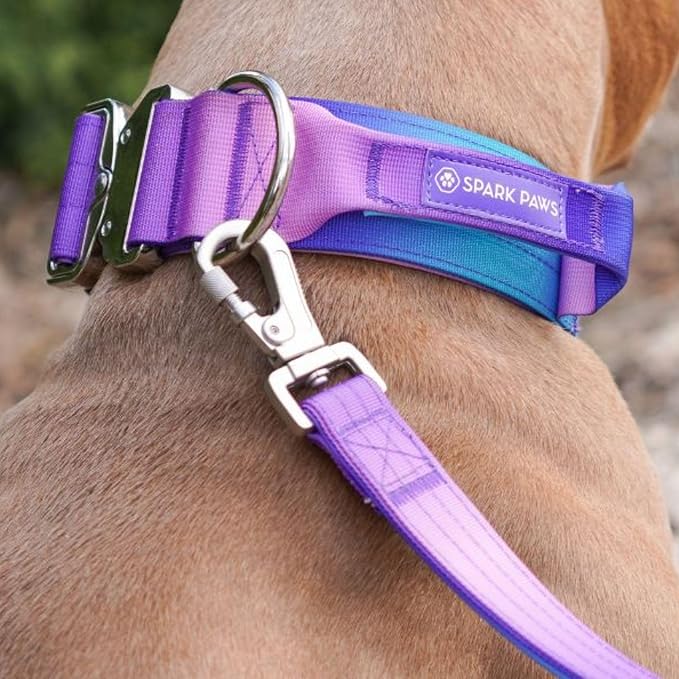 Spark Paws Tactical Dog Collar - Heavy Duty, Premium Quality, Thick and Durable for Large and Medium Dogs - 90's Retro - M
