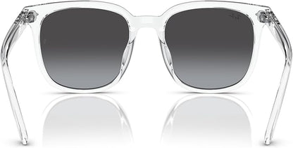 Ray-Ban Unisex Rb4401d Square Sunglasses
