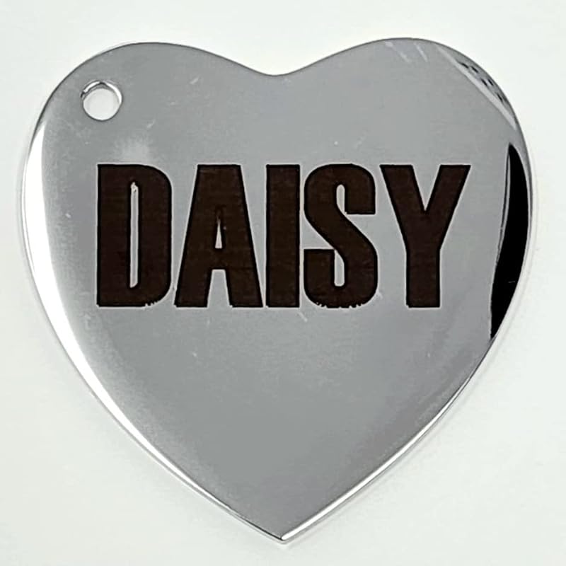 Dr. Fremont's Stainless Steel ID Dog Tags Engraved for Pets Personalized for Cat or Dog Collar Bold Font for Safety (Large, Round)