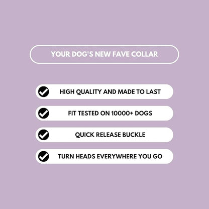 Spark Paws Tactical Dog Collar - Heavy Duty, Premium Quality, Thick and Durable for Large and Medium Dogs - Purple - M