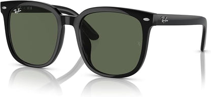 Ray-Ban Unisex Rb4401d Square Sunglasses