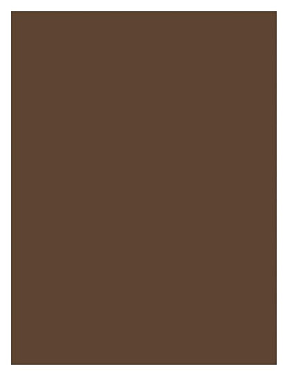 Prang (Formerly SunWorks) Construction Paper, Dark Brown, 9" x 12", 100 Sheets