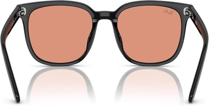 Ray-Ban Unisex Rb4401d Square Sunglasses