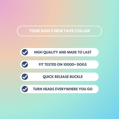 Tactical Dog Collar with Handle - Premium Quality Collar, Robust and Durable Design for Large, Strong Breeds - Pitbulls, Labradors, GSD - Pastel Icing - S - 1.5"