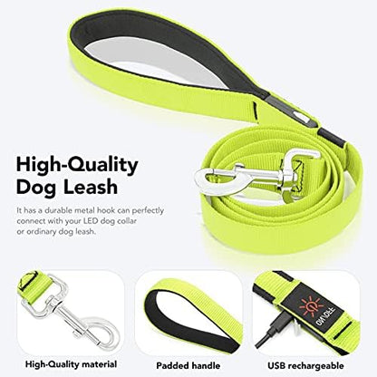 Colaseeme Light Up Dog Leash, LED Pet Leashes USB Rechargeable, Glow Safety Dogs Lights at Night (4FT,Green)