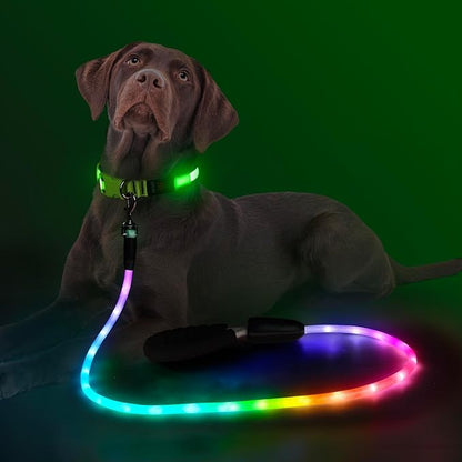 YFbrite Waterproof Light up Dog Leash with 15 Flashing Modes - Super Bright LED Dog Leash for Small Medium Large Dogs - Type-c Rechargeable Dogs Leashes Light (Multi-Color, 6FT (180cm))