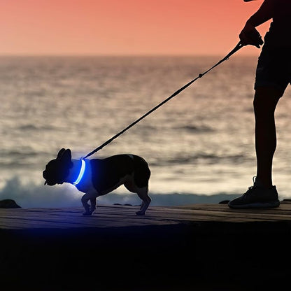 Illumifun LED Dog Collar - USB Rechargeable Dog Light Up Collar, Reflective Pet Collar Light Glow in The Dark (Blue?? Medium)