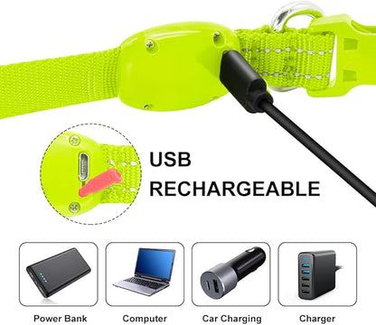Light Up Dog Collar for Small Dogs - Rechargeable Puppy Collars Glow in The Dark LED Dog Collar Lights for Night Walking（X-Small, Green）