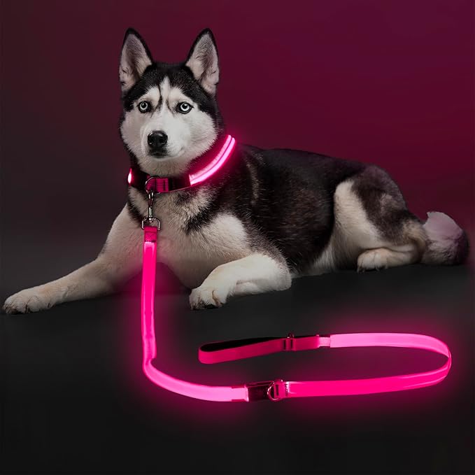 Colaseeme Light Up Dog Leash, LED Pet Leashes USB Rechargeable, Glow Safety Dogs Lights at Night (6FT,Pink)