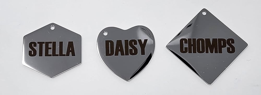 Dr. Fremont's Stainless Steel ID Dog Tags Engraved for Pets Personalized for Cat or Dog Collar Bold Font for Safety (Large, Bone)