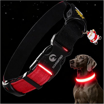 DOGWONG LED Dog Collar - Heavy Duty Light up Collars - Rechargeable Waterproof - Lighted Dog Collar for Night Walking, Hiking, Camping(Red,M)