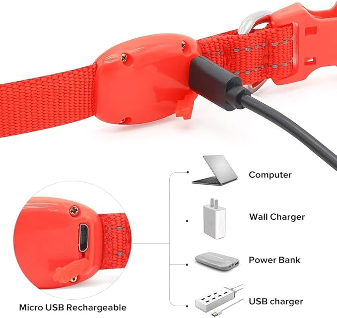 BSEEN Light Up Dog Collar, Reflective LED Dog Collar Rechargeable Glowing Puppy Collars for Small Dogs & Cats, Safety Dog Lights for Night Walking (Red)