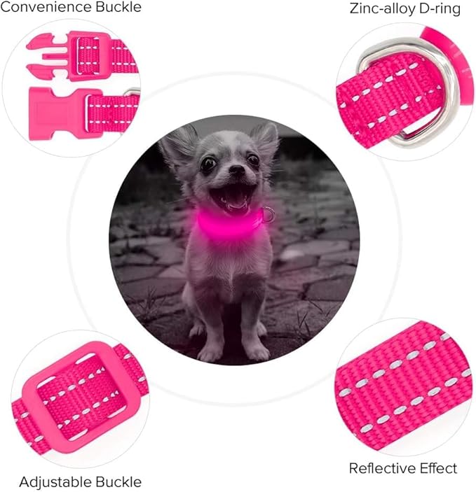 BSEEN Light Up Dog Collar - Reflective LED Dog Collar Rechargeable Glowing Pet Collar for Puppies & Cats, Safety Dog Lights for Night Walking (Pink)