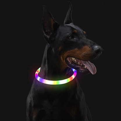 Light Up Dog Collar, Rechargeable Glowing Dog Collar, Light Dog Collar for Night Walking with 1640 FT of Visibility - Brightest LED Dog Collar Light, 3 Flashing Modes, Keeps Your Pets Safe in The Dark