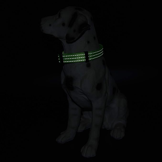 Mile High Life Dog Collar | Nylon Reflective Dog Collars | Light Weight Puppy Collars | Lime Green Dog Collars for Medium Dogs (Solid Lime Green, Medium)