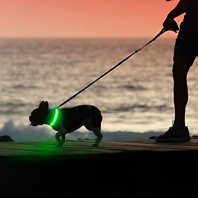 Illumifun Light Up Dog Collar - USB Rechargeable LED Dog Collar, Adjustable Lighted Pet Safety Collar for Night Walking (Green?? Small)
