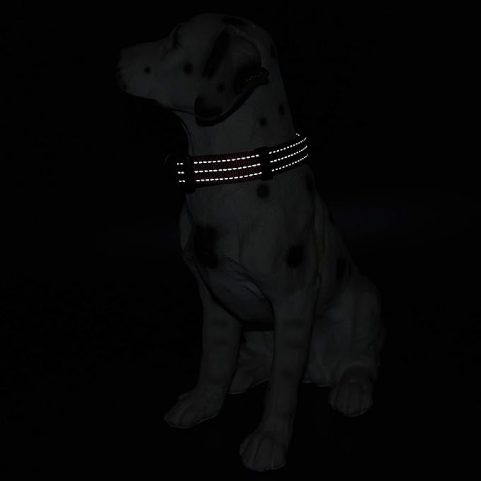 Mile High Life Dog Collar | Nylon Reflective Dog Collars | Light Weight Puppy Collars | Red Dog Collars for Small Dogs (Solid Red, X-Small)