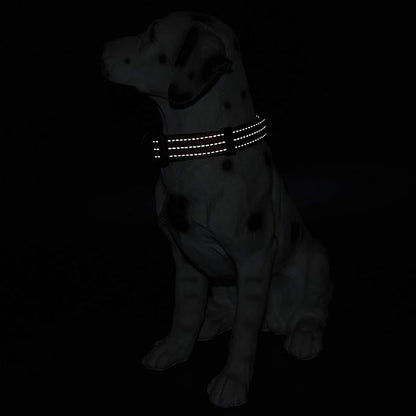 Mile High Life Dog Collar | Nylon Reflective Dog Collars | Light Weight Puppy Collars | Red Dog Collars for Small Dogs (Solid Red, X-Small)