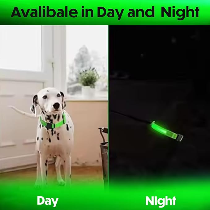 Light Up Dog Collar ??Reflective, Adjustable & Rechargeable Electronic Glow Pet Collars ??Bright, Comfortable, High Visibility LED Dog Collar for Night Safety, Outdoor Walk, Flashing Fun, Green, Large