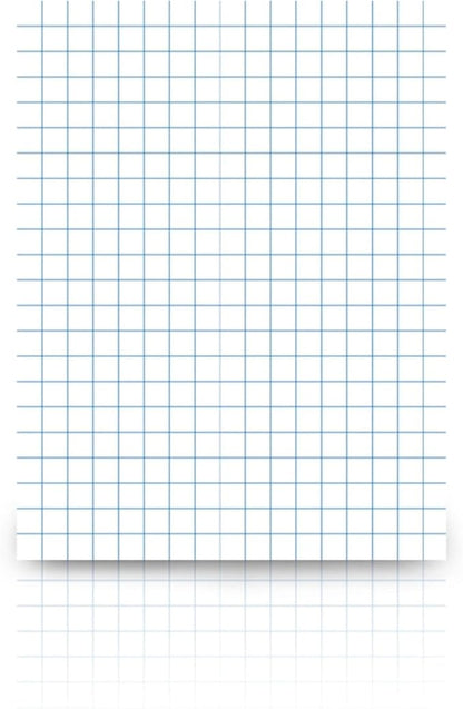 School Smart Graph Paper, 1/4 Inch Rule, 9 x 12 Inches, White, Pack of 500