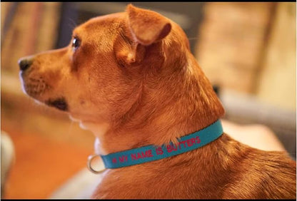 FlowerTown Personalized Dog Collar with Embroidered Name and Phone Number, Custom Dog ID Collars 4 Adjustable Sizes with Safety Release Buckle and D-Ring (Normal), Blue
