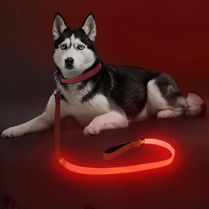 Colaseeme Light Up Dog Leash, LED Pet Leashes USB Rechargeable, Glow Safety Dogs Lights at Night (4FT,Red)