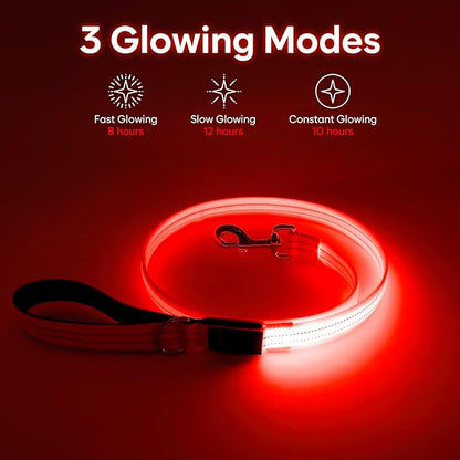 LED Dog Leash, 4 Ft Light Up, USB Rechargeable, Waterproof, Nylon Reflective with Padded Handle, Safety Glow in The Dark for Large, Medium, Small Pets (Orange)
