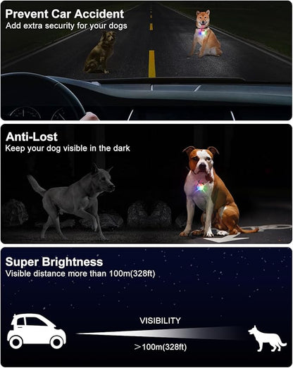 2 Pack Dog Collar Light, Rechargeable Dog Lights for Night Walking Clip On, 4 Modes Waterproof LED Collar Charm for Nighttime Running, Cycling, Pet Camping Essentials (Black)