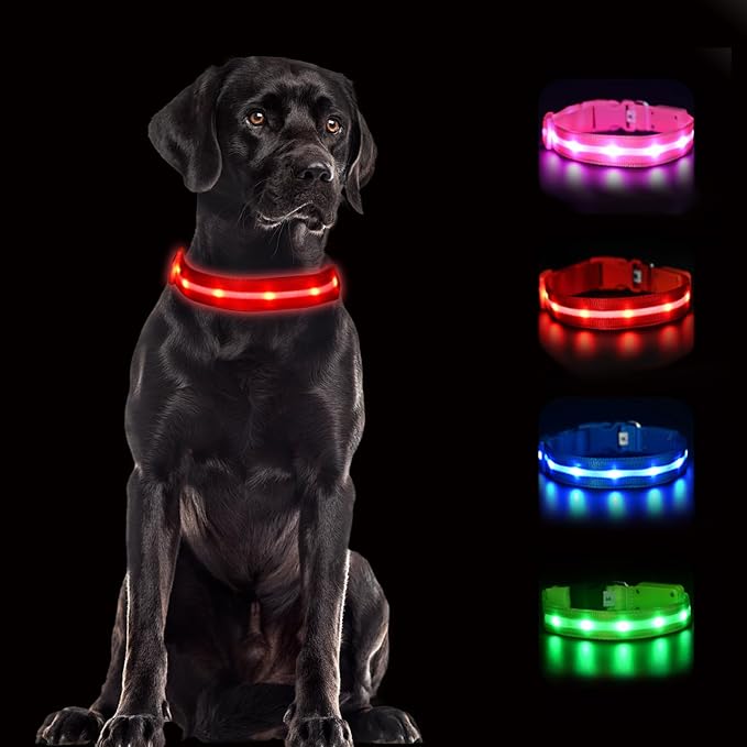 CHUKCHI LED Dog Collar Rechargeable,Waterproof Flashing Collar,Light Up Glow Collar, Adjustable Soft Safety Light Up for Small Medium Large Dogs Walking Camping at Night (Red-M)