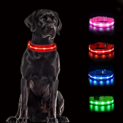 CHUKCHI LED Dog Collar Rechargeable,Waterproof Flashing Collar,Light Up Glow Collar, Adjustable Soft Safety Light Up for Small Medium Large Dogs Walking Camping at Night (Red-M)