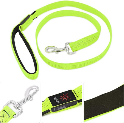 Candofly Glowing LED Dog Leash, Rechargeable Pet Leash with Lights, 4 Ft Light Up Dog Leash for Night Walking Keep Your Pets Visible (Neon Green)
