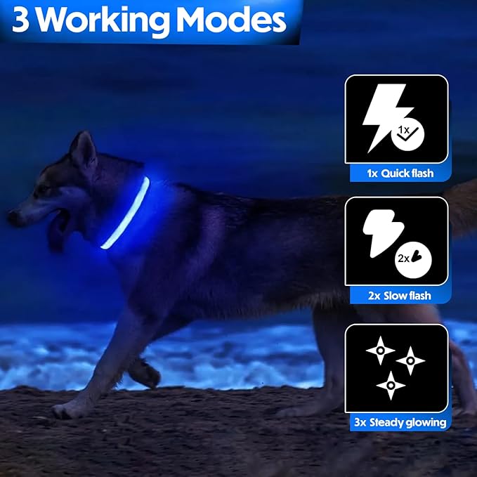Light Up Dog Collar ??Reflective, Adjustable & Rechargeable Electronic Glow Pet Collars ??Bright, Comfortable, High Visibility LED Dog Collar for Night Safety, Outdoor Walk & Flashing Fun, Blue, Small