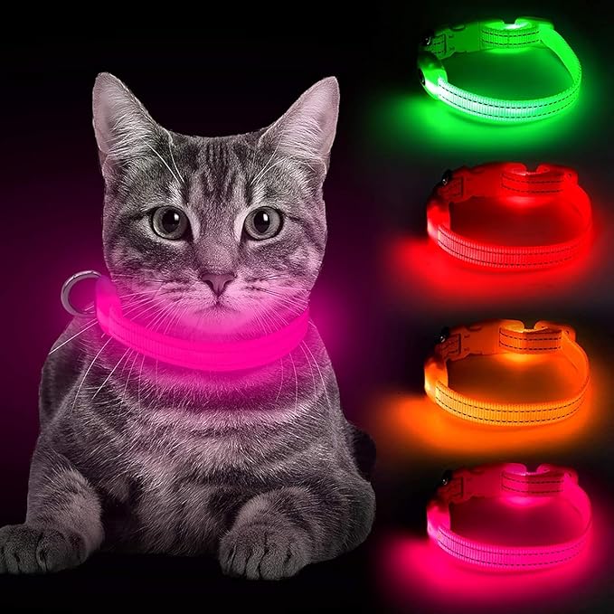BSEEN Light Up Dog Collar - Reflective LED Dog Collar Rechargeable Glowing Pet Collar for Puppies & Cats, Safety Dog Lights for Night Walking (Pink)