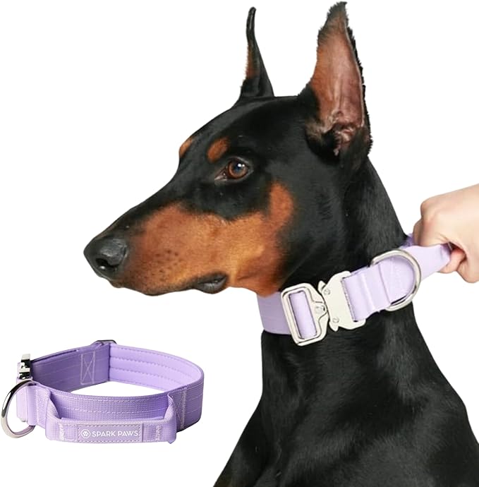 Spark Paws Tactical Dog Collar - Heavy Duty, Premium Quality, Thick and Durable for Large and Medium Dogs - Purple - M - 1.5"