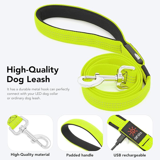 Colaseeme Light Up Dog Leash, LED Pet Leashes USB Rechargeable, Glow Safety Dogs Lights at Night (4FT,Green & Reflective Wires)