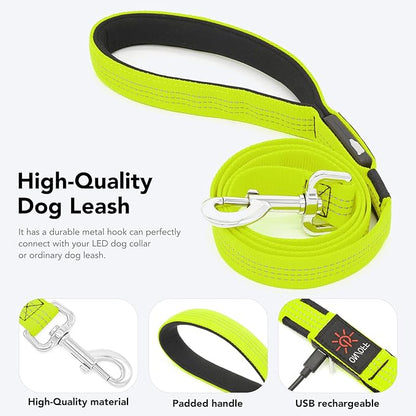 Colaseeme Light Up Dog Leash, LED Pet Leashes USB Rechargeable, Glow Safety Dogs Lights at Night (4FT,Green & Reflective Wires)