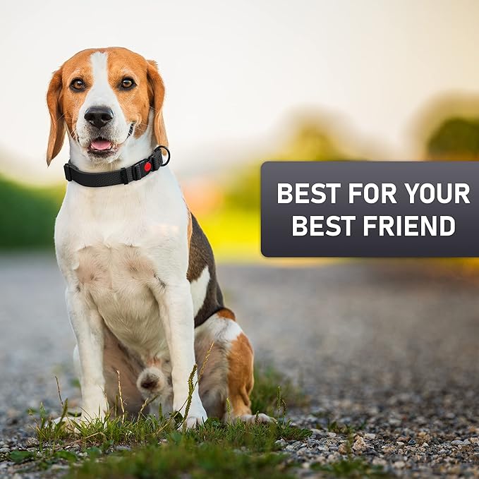 Adjustable Dog Collar with QR Code Dog Tag ID Attached - Made in USA - Honeycomb Waterproof Heavy Duty Dog Collar with Safe Lock Buckle - Odor Proof Pet Collar for Dogs with Strong Zinc D Ring