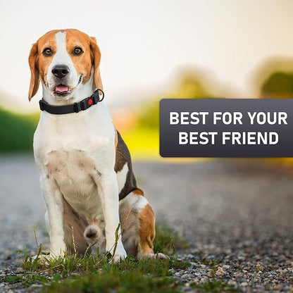 Adjustable Dog Collar with QR Code Dog Tag ID Attached - Made in USA - Honeycomb Waterproof Heavy Duty Dog Collar with Safe Lock Buckle - Odor Proof Pet Collar for Dogs with Strong Zinc D Ring