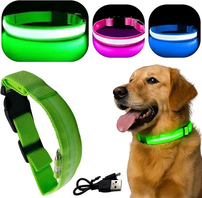 Light Up Dog Collar ??Reflective, Adjustable, Rechargeable Electronic Glow Pet Collars ??Bright, Comfortable, High Visibility LED Dog Collar for Night Safety, Outdoor Walk, Flashing Fun, Green, Medium